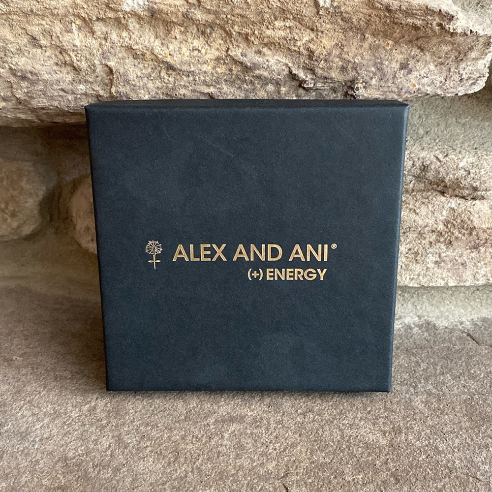 Alex and Ani (+) Energy Racehorse Bracelet